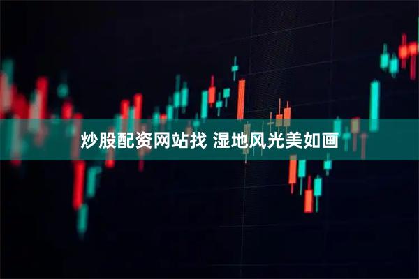 炒股配资网站找 湿地风光美如画